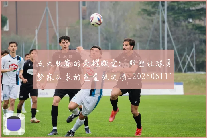 五大联赛的荣耀殿堂：那些让球员梦寐以求的重量级奖项_20260611141755